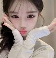 案例摘要